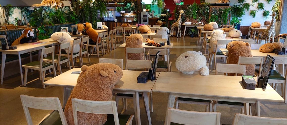 This Japanese Zoo is Using Stuffed Capybaras to Visualize Social Distancing