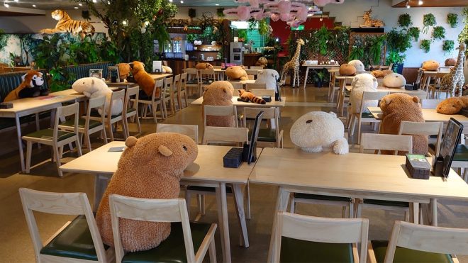 This Japanese Zoo is Using Stuffed Capybaras to Visualize Social Distancing