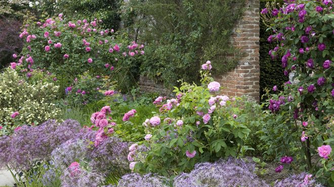 Wildlife garden ideas – National Trust tips for a wildlife-friendly garden