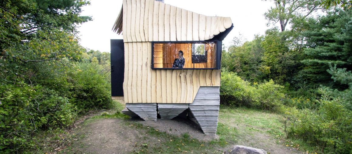 This 100-square-foot tiny cabin was designed by Cornell professors using reject trees, 3D printers, and a robot arm they found on eBay