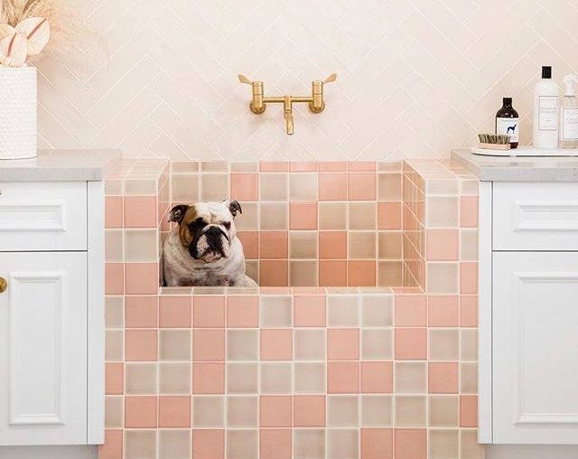 9 In-Home Dog Washing Stations That Are DIY Dreams | Hunker