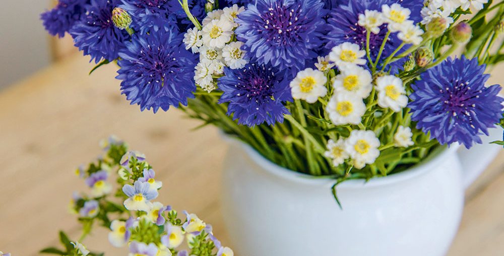 The best flowers to reduce stress – Flowers with mental health benefits