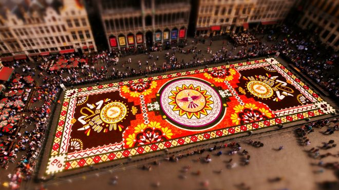 An Aerial Timelapse Captures One Million Begonias as They’re Woven Into an Ephemeral Tapestry
