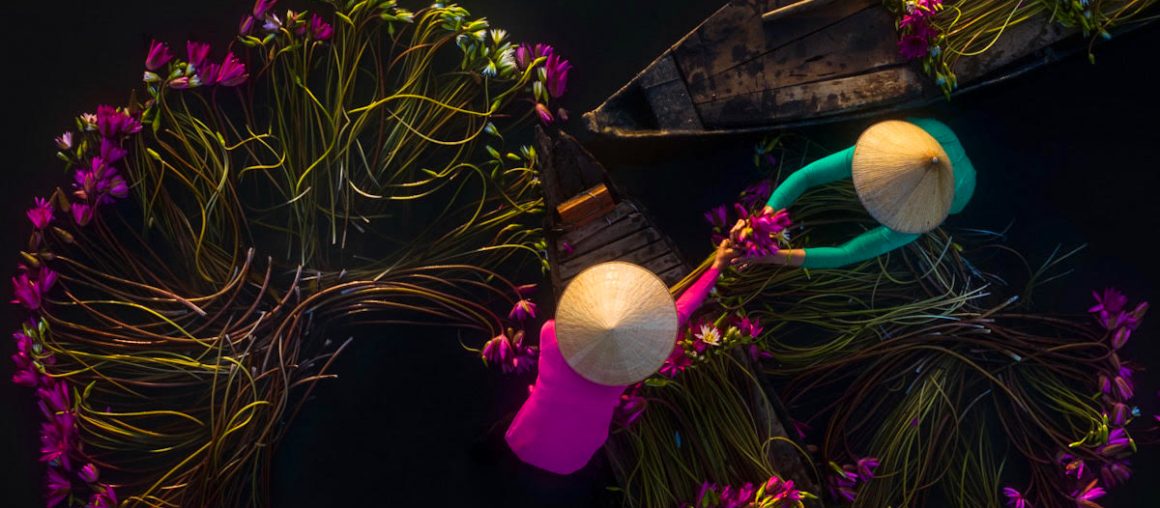 Vivid Photographs by Trung Huy Pham Capture Annual Water Lily Harvest in Vietnam