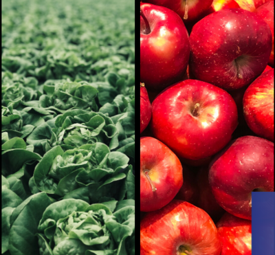 Microplastics Found in Fruits and Vegetables - Core77