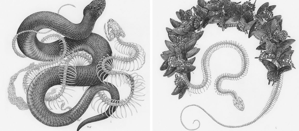 Sinuous Snakes, Insects, and Florals Intertwine in Graphite Illustrations by Zoe Keller