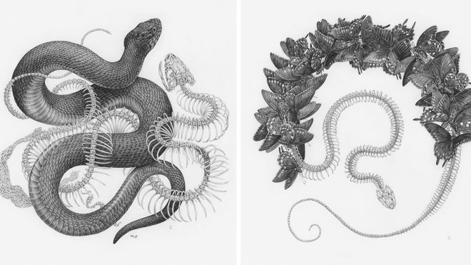 Sinuous Snakes, Insects, and Florals Intertwine in Graphite Illustrations by Zoe Keller