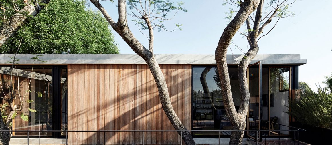 Existing trees left to grow up Guadalajara House by Alejandro Sticotti
