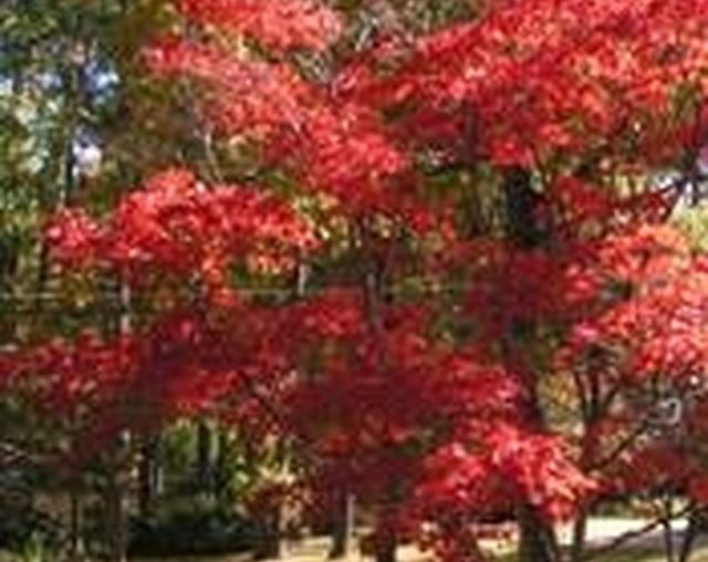 How to Design Landscapes for Free Online | Hunker