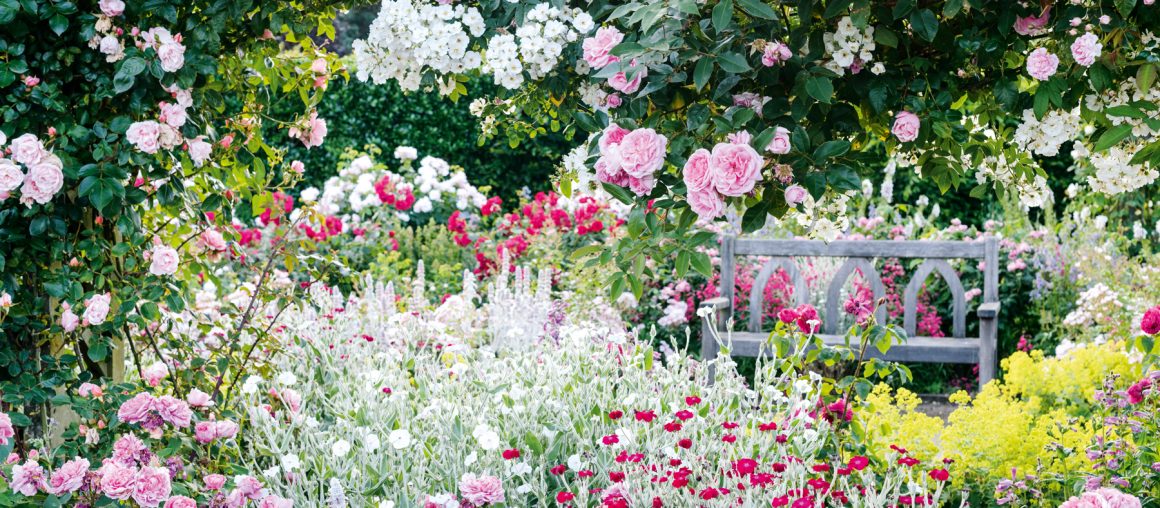 How to grow a mood-boosting garden