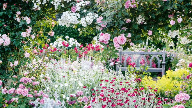 How to grow a mood-boosting garden