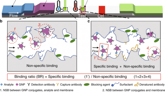 Development and optimization of thermal contrast amplification lateral flow immunoassays for ultrasensitive HIV p24 protein detection