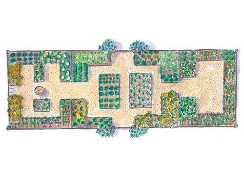10 Functional And Productive Vegetable Garden Plans