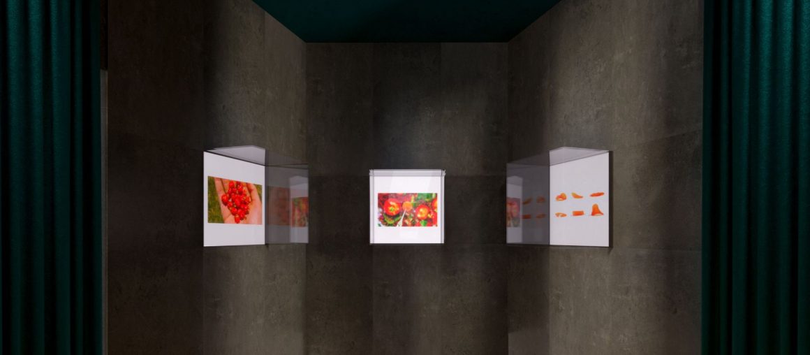 Il Future Market di Fab Food, lo spazio dove si esplora il futuro