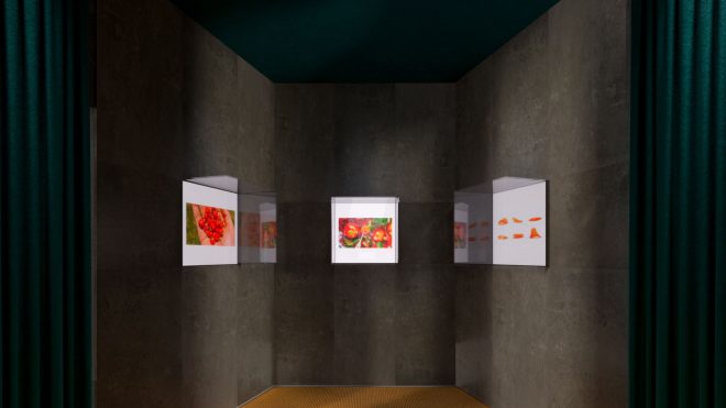 Il Future Market di Fab Food, lo spazio dove si esplora il futuro