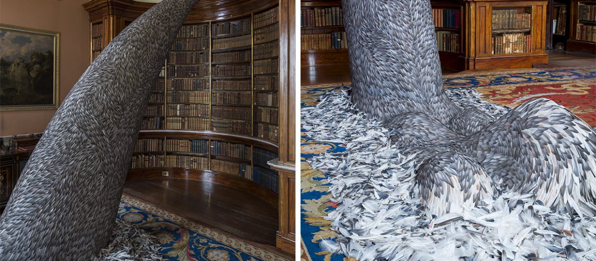 10,000 Pigeon Feathers Cascade from a Bookcase in Kate MccGwire's Latest Installation