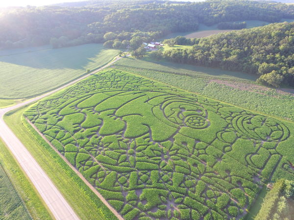 Get Lost in a Corn Maze That Looks Like a Microscopic 'Water Bear'