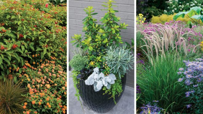 Design Inspiration for the Summer-to-Fall Transition