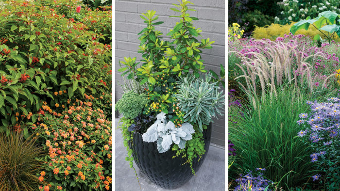 Design Inspiration for the Summer-to-Fall Transition