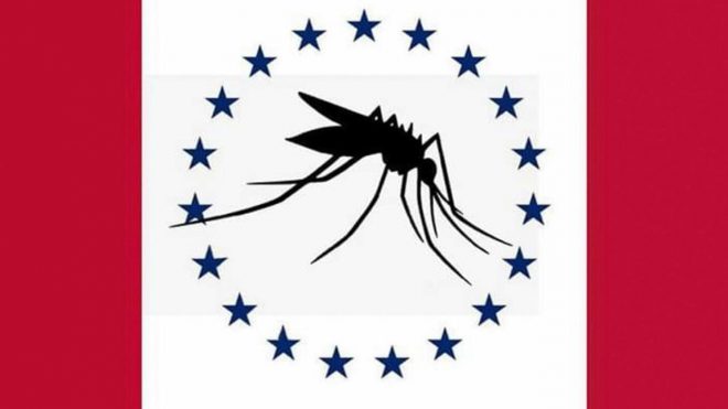 Mississippi's next state flag could have featured a giant mosquito. 'It’s their state,' designer says.