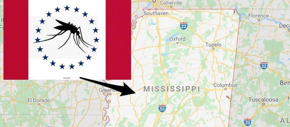 A Mississippi flag design inspired by the state's unofficial pest — the mosquito — was accidentally listed as a semi-finalist due to a 'typo'