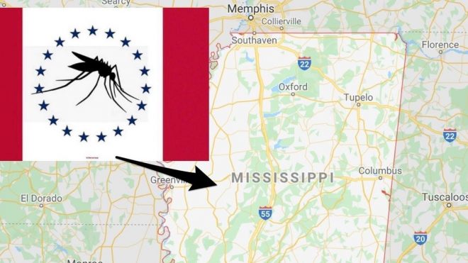 A Mississippi flag design inspired by the state's unofficial pest — the mosquito — was accidentally listed as a semi-finalist due to a 'typo'