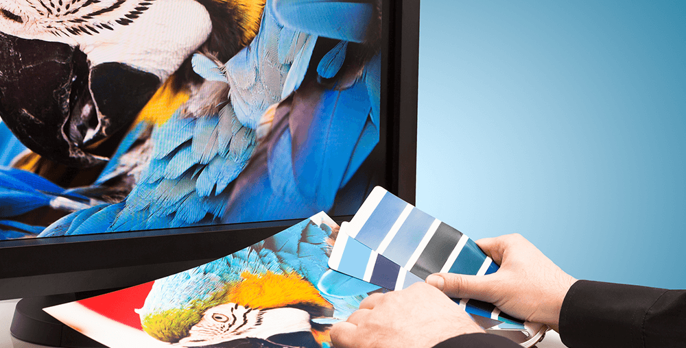 Upcoming Zoho Webinar Tackles Graphic Design - Small Business Trends