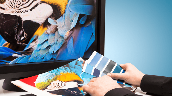 Upcoming Zoho Webinar Tackles Graphic Design - Small Business Trends