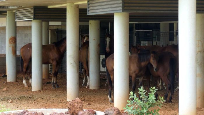 Empty gestures: Anger at inaction on WA's empty government 'Taj Mahals'
