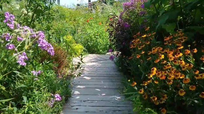 Tour a Stylish Pollinator Garden