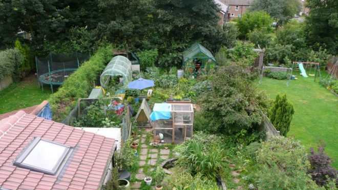 Pandemic permaculture: Designing for resilience