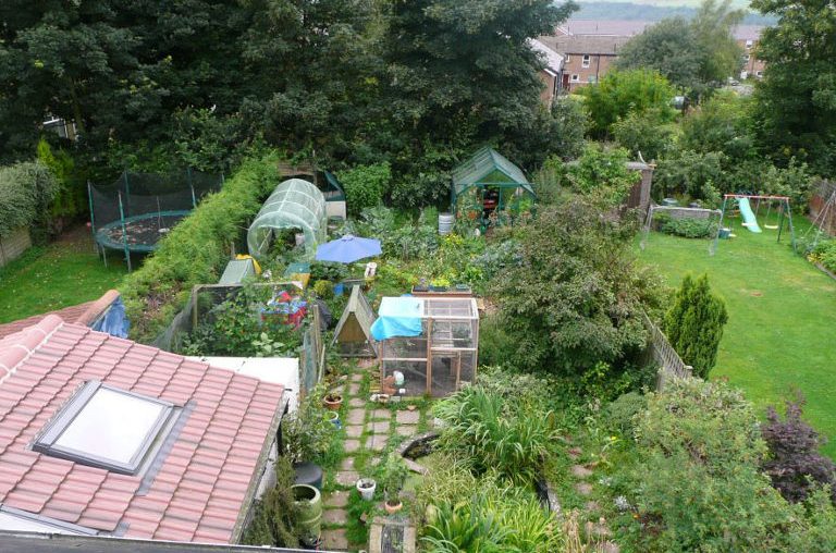 Pandemic permaculture: Designing for resilience