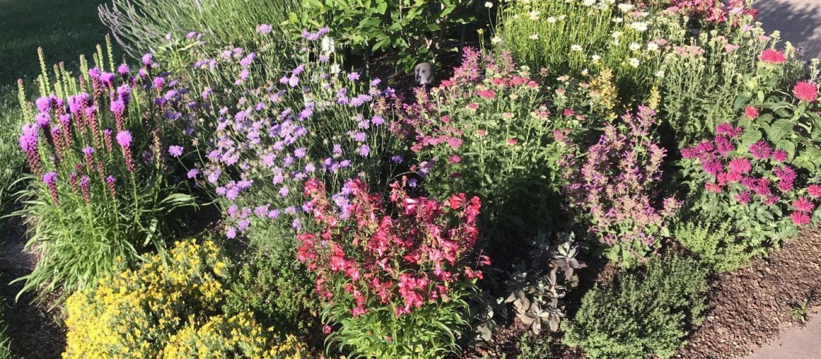 Planning your Colorado home landscape: tips from the pros