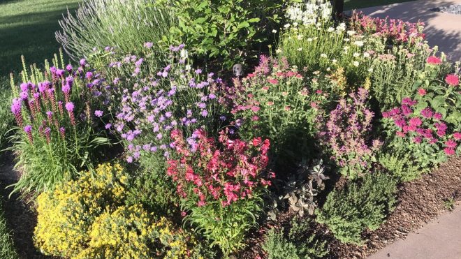 Planning your Colorado home landscape: tips from the pros