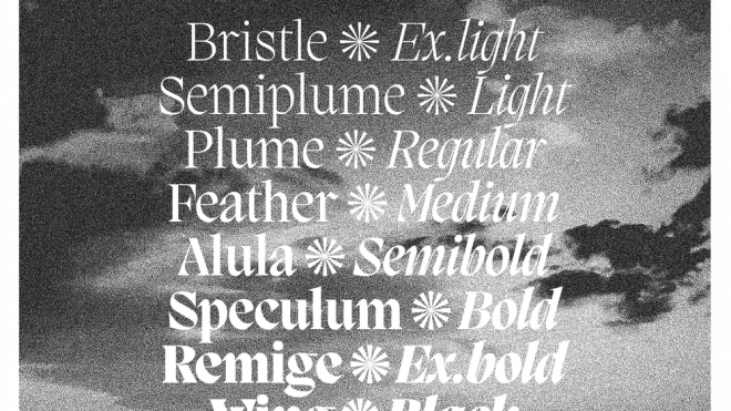 5 Top New Typefaces: August 2020