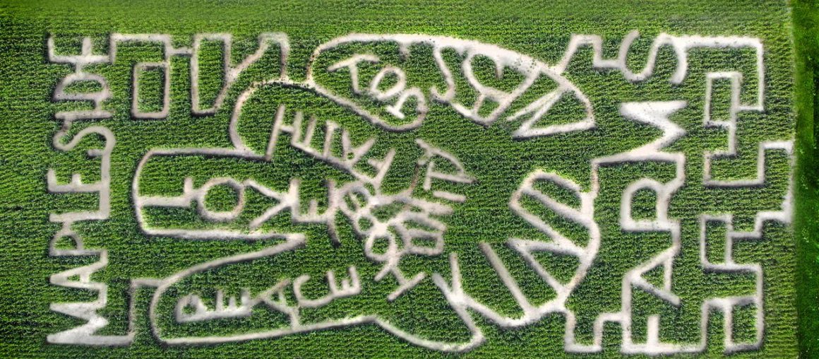 Mapleside Farms trades in sports-themed corn maze for message of unity and love