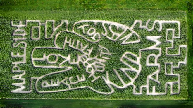 Mapleside Farms trades in sports-themed corn maze for message of unity and love