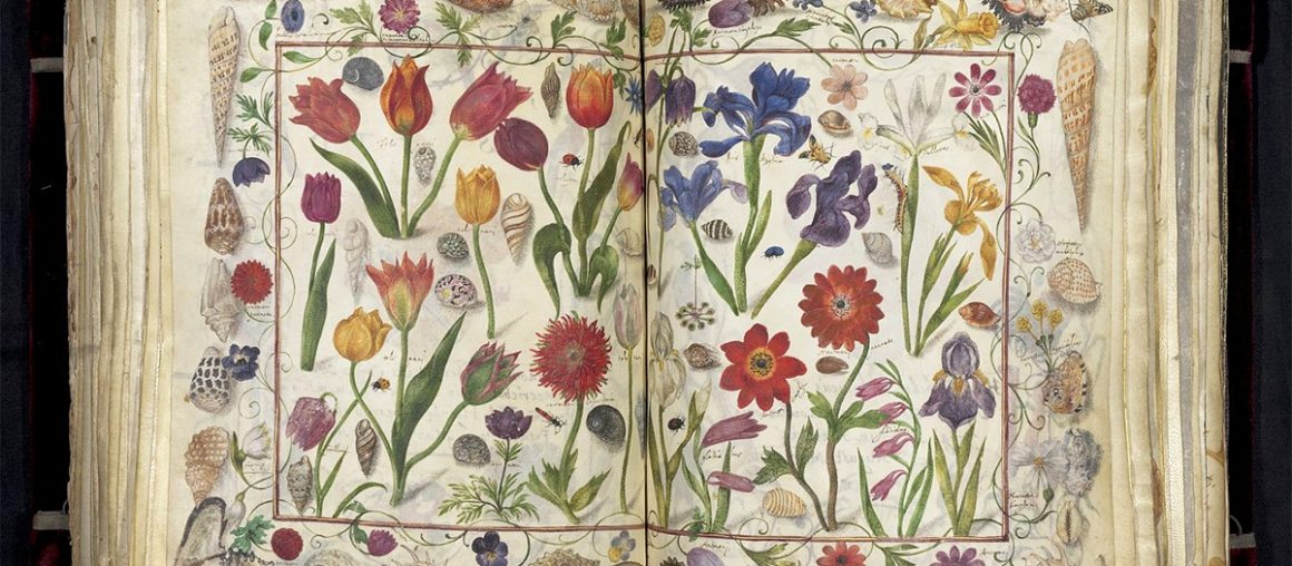 A 400-Year-Old 'Friendship Book' Contains Hundreds of Signatures of Historical Figures
