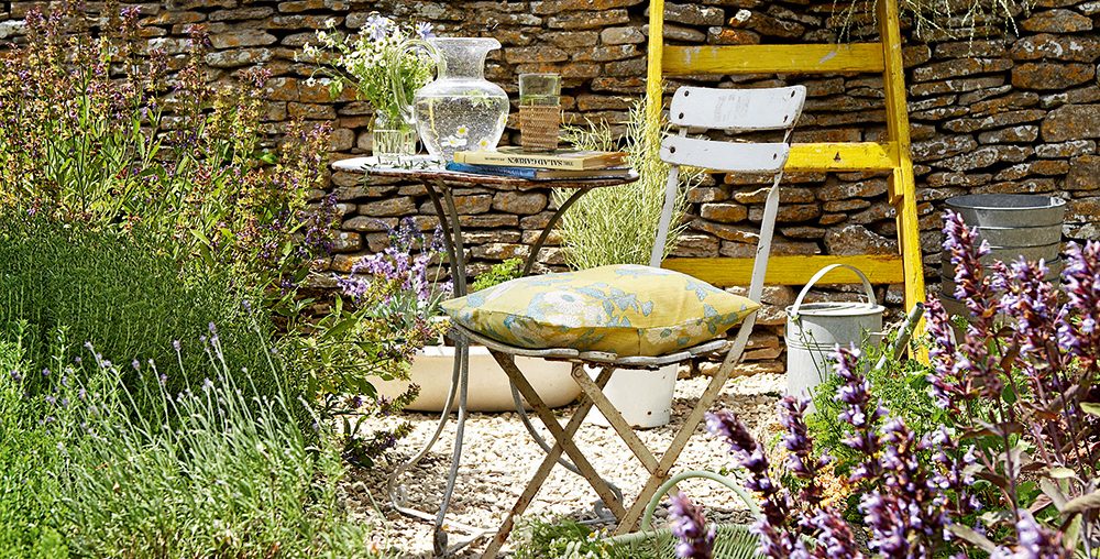 5 of the best natural garden tips – Pest control garden
