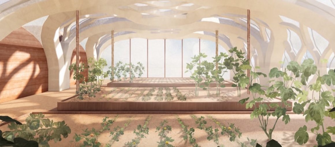 Student designs inflatable bamboo greenhouses for sustainable farming