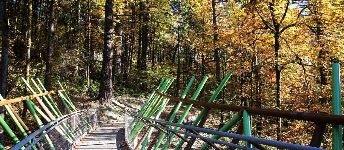 Portland footbridge wins 2 international design awards