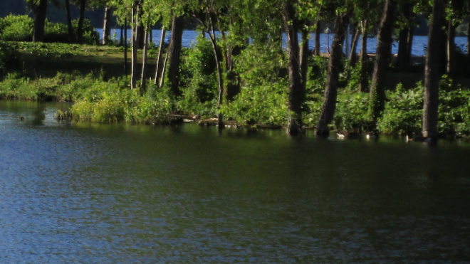 City investigating spill in Hamilton Harbour near Bayfront Park